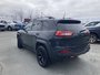 2016 Jeep Cherokee Trailhawk - NAV, HTD AND COOLED MEMORY LEATHER SEATS, PANORAMIC ROOF, SAFETY FEATURES,-12