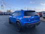 2019 Jeep Cherokee Trailhawk - HEATED LEATHER SEATS AND WHEEL, NAV, POWER LIFT GATE, NO ACCIDENTS-15