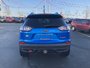 2019 Jeep Cherokee Trailhawk - HEATED LEATHER SEATS AND WHEEL, NAV, POWER LIFT GATE, NO ACCIDENTS-13