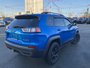 2019 Jeep Cherokee Trailhawk - HEATED LEATHER SEATS AND WHEEL, NAV, POWER LIFT GATE, NO ACCIDENTS-12