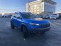 2019 Jeep Cherokee Trailhawk - HEATED LEATHER SEATS AND WHEEL, NAV, POWER LIFT GATE, NO ACCIDENTS-5