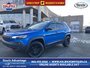 2019 Jeep Cherokee Trailhawk - HEATED LEATHER SEATS AND WHEEL, NAV, POWER LIFT GATE, NO ACCIDENTS-0