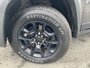 2021 Jeep Cherokee Trailhawk Elite - LOW KM, NAV, HTD MEMORY LEATHER SEATS AND WHEEL,-1