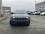 2021 Jeep Cherokee Trailhawk Elite - LOW KM, NAV, HTD MEMORY LEATHER SEATS AND WHEEL,-5