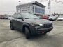 2021 Jeep Cherokee Trailhawk Elite - LOW KM, NAV, HTD MEMORY LEATHER SEATS AND WHEEL,-6
