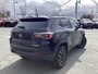 2018 Jeep Compass Trailhawk - NAV, PANO ROOF, HEATED LEATHER SEATS AND WHEEL, BACK UP CAMERA, NO ACCIDENTS-9