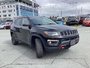 2018 Jeep Compass Trailhawk - NAV, PANO ROOF, HEATED LEATHER SEATS AND WHEEL, BACK UP CAMERA, NO ACCIDENTS-2