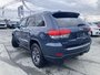 2019 Jeep Grand Cherokee Limited - HTD MEMORY LEATHER SEATS AND WHEEL, SAFETY FEATURES, POWER LIFT GATE, NO ACCIDENTS-15