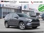 2023 Toyota RAV4 XLE  - Sunroof -  Power Liftgate-0
