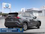 2023 Toyota RAV4 XLE  - Sunroof -  Power Liftgate-2