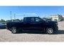 2024 Chevrolet Silverado 1500 Work Truck 4WD Crew Cab 157  Work Truck