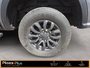 2023 Ford Ranger XLT 2.3L EcoBOOST   4 CYLINDER ENGINE   270 HORSEPOWER