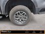 2024 Ford Ranger XLT XLT 4WD SuperCrew 5' Box
