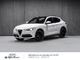 Alfa Romeo Stelvio TI SPORT ASSIST. DYNAMIC PLUS STATIC CONVENIENCE 2018-0