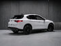 Alfa Romeo Stelvio TI SPORT ASSIST. DYNAMIC PLUS STATIC CONVENIENCE 2018-4