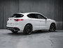 Alfa Romeo Stelvio QUADRIFOGLIO 2020-4