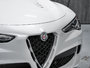 2020 Alfa Romeo Stelvio QUADRIFOGLIO-26