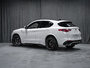 2020 Alfa Romeo Stelvio QUADRIFOGLIO-2