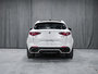 2020 Alfa Romeo Stelvio QUADRIFOGLIO-3