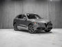 Alfa Romeo Stelvio Ti 2020-1