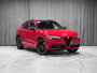 2021 Alfa Romeo Stelvio TI SPORT-6