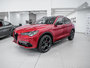 Alfa Romeo Stelvio VELOCE 2024-3