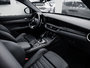 Alfa Romeo Stelvio QUADRIFOGLIO 2024-60