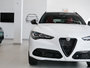 Alfa Romeo Stelvio Base 2025-6