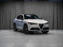 Alfa Romeo Stelvio  2025-1