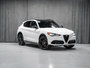 Alfa Romeo Stelvio VELOCE 2025-1