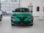 2025 Alfa Romeo TONALE PHEV TRIBUTO-7