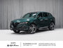 Alfa Romeo Tonale Speciale 2026-0