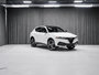 2026 Alfa Romeo Tonale Speciale-1