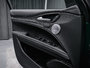 Alfa Romeo Stelvio QUADRIFOLIO 2024-18
