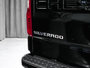 2022 Chevrolet Silverado 1500 CUSTUM-6