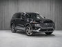 Hyundai Santa Fe PREFERRED 2022-3