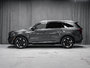Kia Sorento Plug-In Hybrid EX AWD 7 SEATS BACK UP CAMERA APPLE CAR PLAY 2025-2