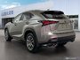 2019 Lexus NX 300-3