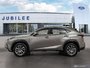 2019 Lexus NX 300-2