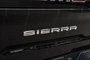 2021 GMC SIERRA 2500 Crew Cab 4x4 At4 Standard Box Std Box-Cruise|Nav|Htd/Cool seats|Blnd Spot and more