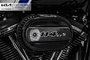 2021 Harley Davidson Motorcycle Street Glide Special FLHXS 114- 1923CC