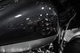 2019 Harley Davidson Motorcycle Unlisted Item