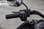 2023 Harley Davidson Motorcycle Unlisted Item