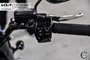 2023 Harley Davidson Motorcycle Unlisted Item