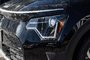2024 Kia Niro EV Wind Plus