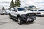 2017 Ram 1500 Crew Cab 4x4 Rebel (140.5 WB - 5.7 Box)