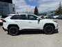 2025 Toyota RAV4 Hybrid SE AWD