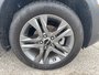 2023 Kia Seltos EX