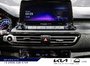 2023 Kia Seltos EX Premium-20