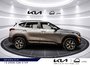 2023 Kia Seltos EX Premium-10